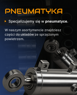 Pneumatyka